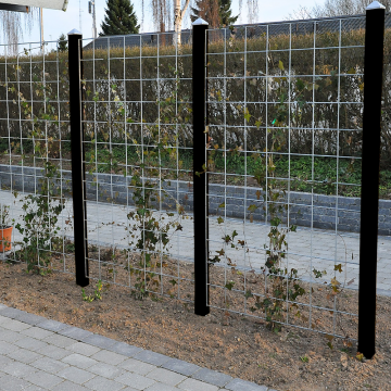 Espalier set Gelænder med beslag 3 sektioner 4 sortmalede stolper 240 cm HORTUS